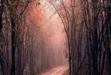 辉达娱乐:篮球——CBA常规赛:北京北汽胜宁波町渥.