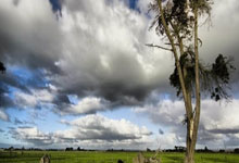 得分王布伦森缺阵 尼克斯仍轻取爵士获胜.