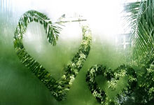 2023年最佳男子游泳运动员,覃海洋入围候选人中新体育.