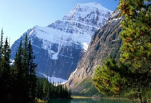 辉达娱乐:高层:尤文没有扩建都灵安联球场的计划,将改造新一代的球场.