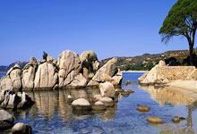 辉达娱乐:CBA:广州朗肽海本男篮109-101福建晋江文旅男篮.